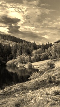 Sepia