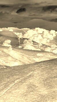 Sepia + Negatyw