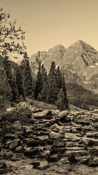 Szary + Sepia