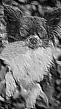 Skamielina