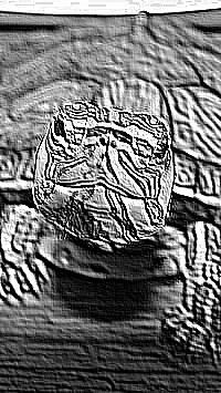 Skamielina
