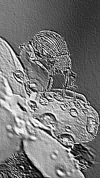 Skamielina