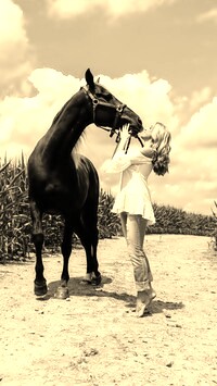 Szary + Sepia