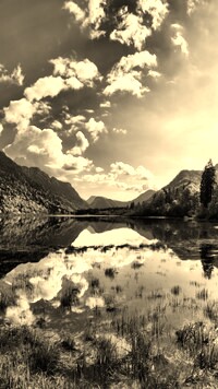 Szary + Sepia