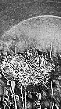Skamielina