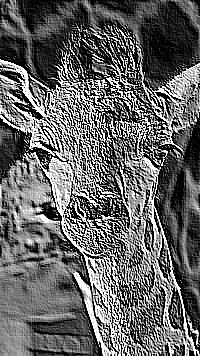 Skamielina