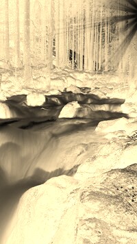 Sepia + Negatyw