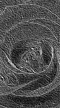 Skamielina