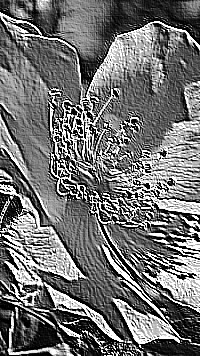 Skamielina