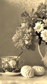 Szary + Sepia