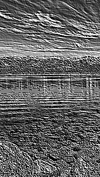 Skamielina
