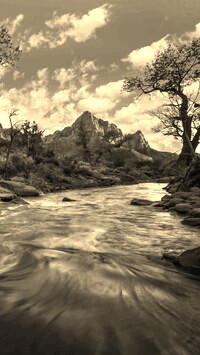 Szary + Sepia
