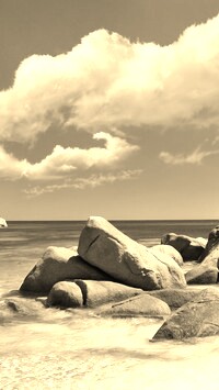 Szary + Sepia