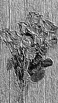 Skamielina