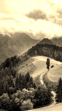 Szary + Sepia