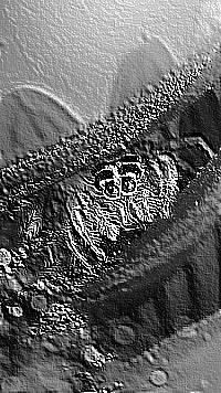 Skamielina