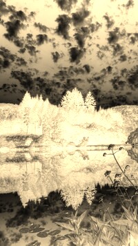 Sepia + Negatyw