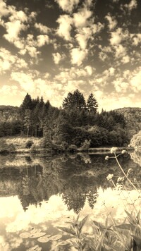 Szary + Sepia