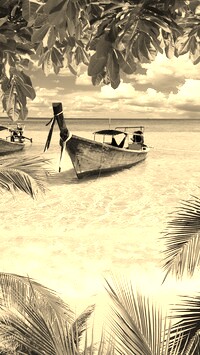 Szary + Sepia