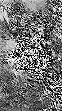 Skamielina
