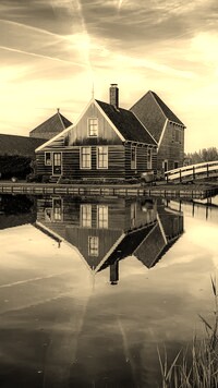 Szary + Sepia