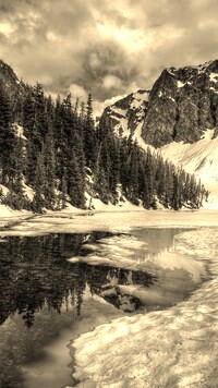 Szary + Sepia