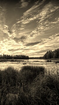 Szary + Sepia