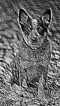Skamielina