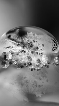 Szary + Negatyw
