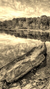 Sepia