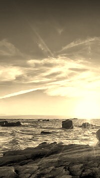 Szary + Sepia