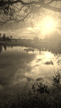 Szary + Sepia
