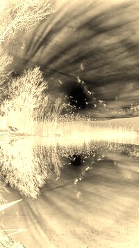Sepia + Negatyw