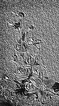 Skamielina