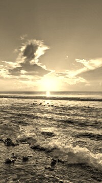 Szary + Sepia