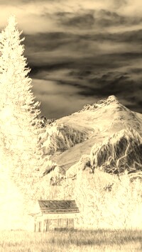 Sepia + Negatyw