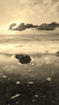 Sepia