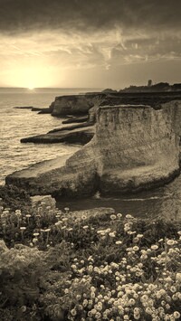 Szary + Sepia
