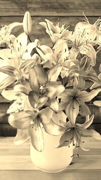 Sepia