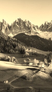 Szary + Sepia