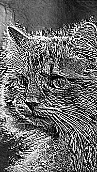 Skamielina