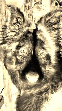 Sepia + Negatyw