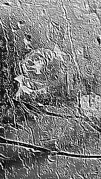 Skamielina
