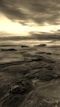 Szary + Sepia