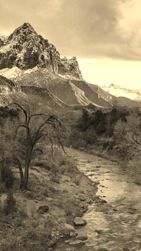 Szary + Sepia