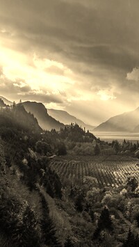 Szary + Sepia