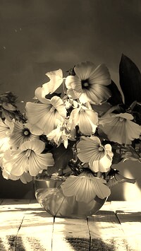Szary + Sepia