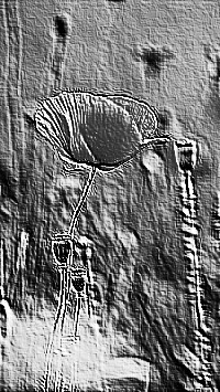 Skamielina