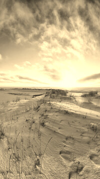 Szary + Sepia