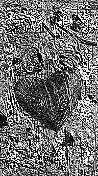 Skamielina